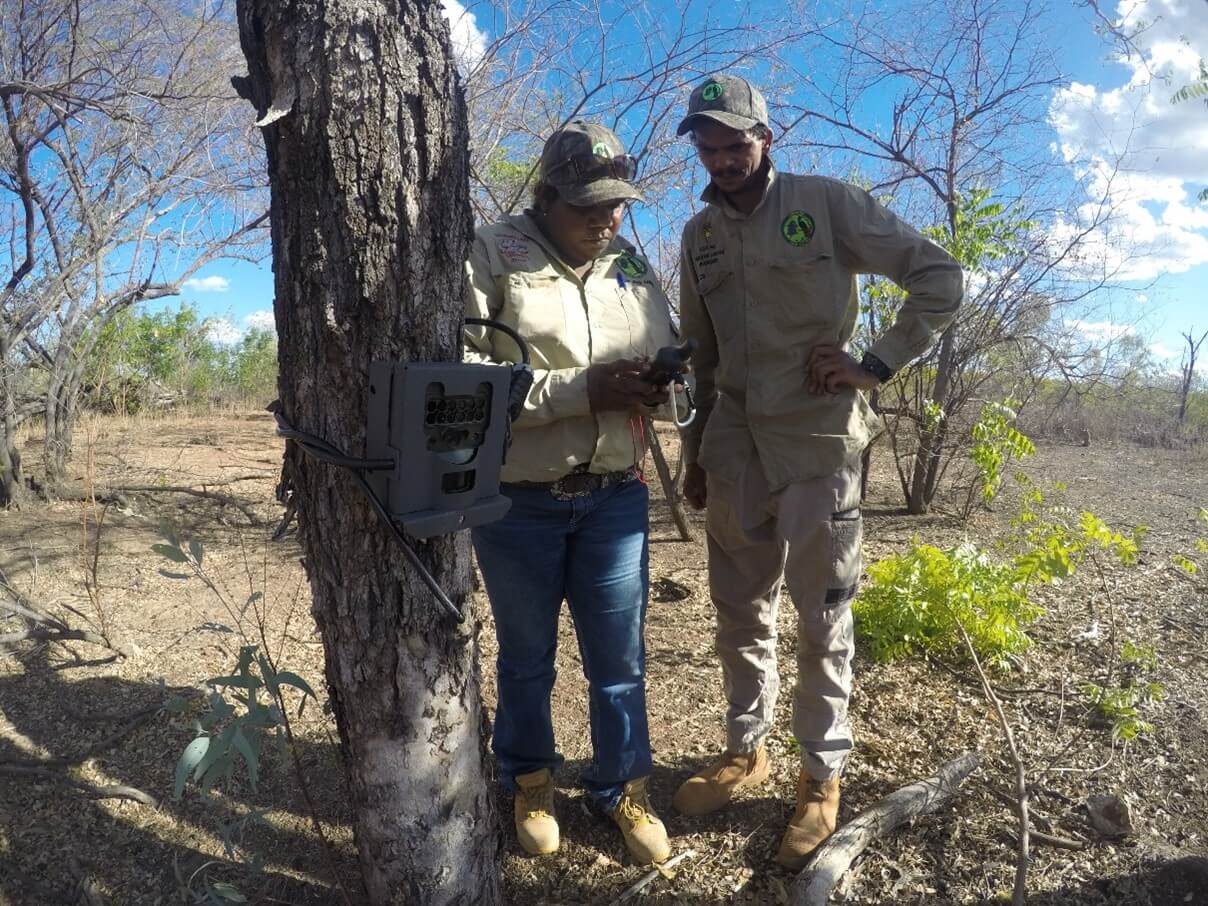 Carpentaria Land Council Aboriginal Corporation (CLCAC)