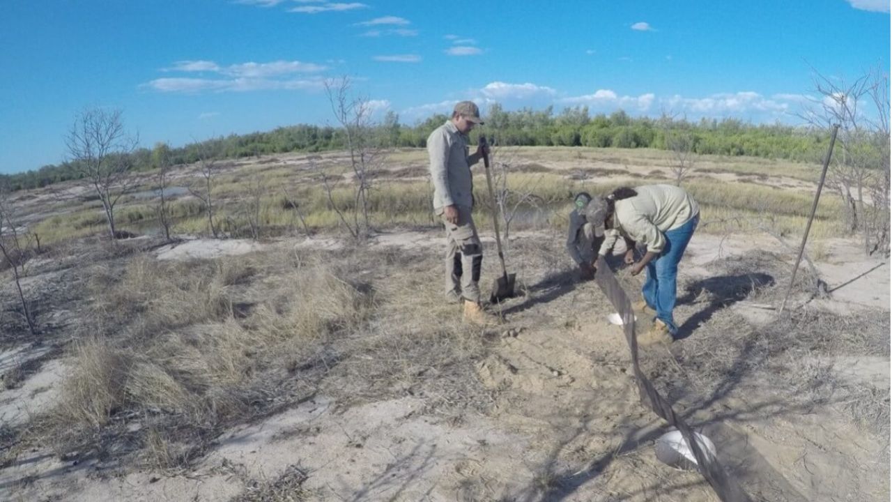 Conservation and Ecological management